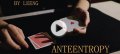 Anteentropy by Leeng